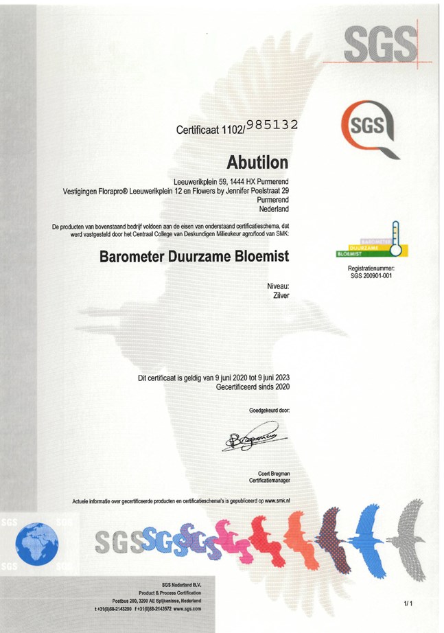 certificaat Abutilon - Florapro